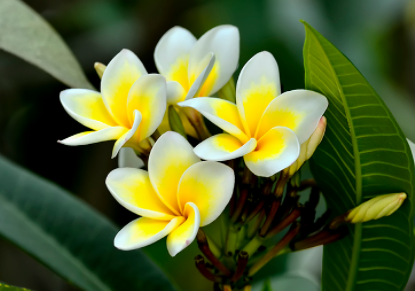 ������������ô�� ��ֳ������ʲô