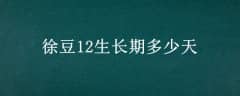 춹12ڶ