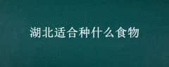 ʺʲôʳ