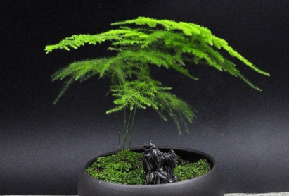 ����Ҷ�Ӹɿݷ�����ʲôԭ�� ��ô���