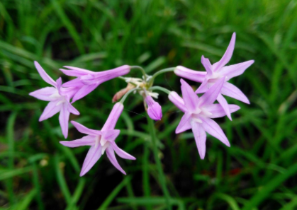 �Ͻ����Ļ�����ʲôʱ�� Ӧ����ô��ֳ