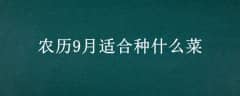 ũ9ʺʲô