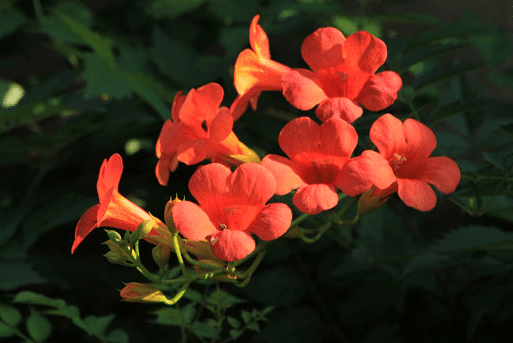 �������������ʩ�� ���·�ʩ�ʱȽϺ�