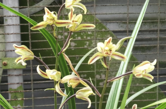 ����ĺ�����ô���� ��������������