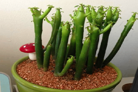 �����������ʩ����Щ ��������Ҫ����ʲô