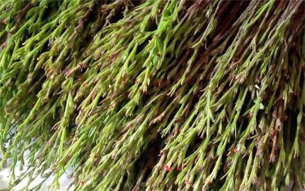 ���Ž����Ǯһ��