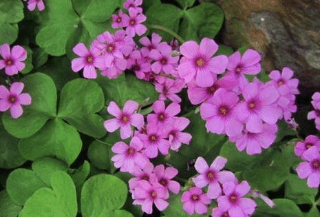 �컨�����������ֳ ע����������Щ