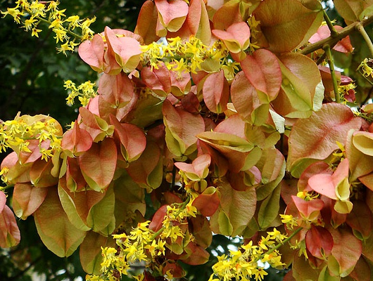 ���������ڹ���������ʲô ��ο�ѧ�������ú�