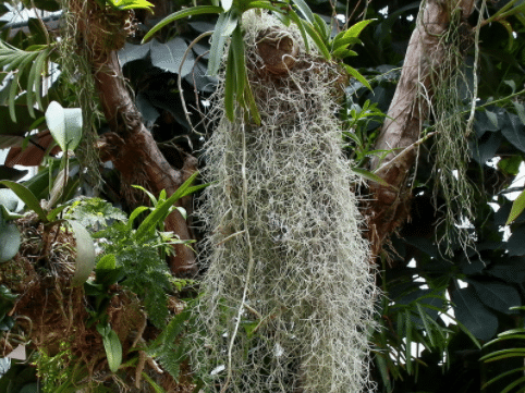 ����������ʩ�� ����ʱ����Щע������