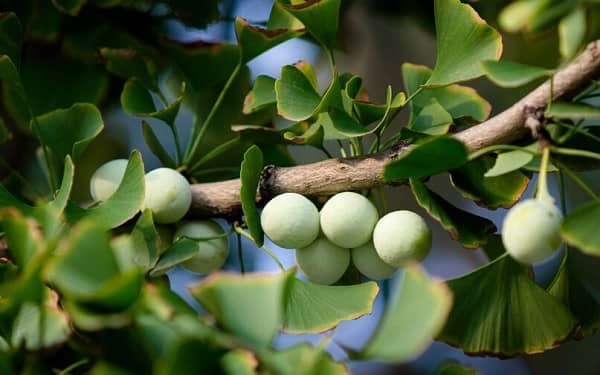 Ұ���׹�����һ�� �г�������ô��