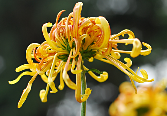 �������;ջ������˶��� ��������ʲô���ܸ�����