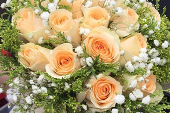 香槟玫瑰能做成干花吗 怎么做成干花