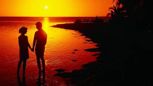 每天一句晚安小情话