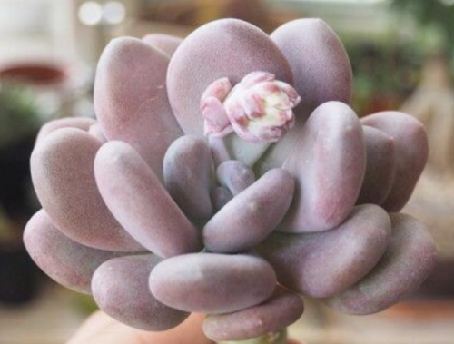 �������������ô���� ����ʱ����Щע������