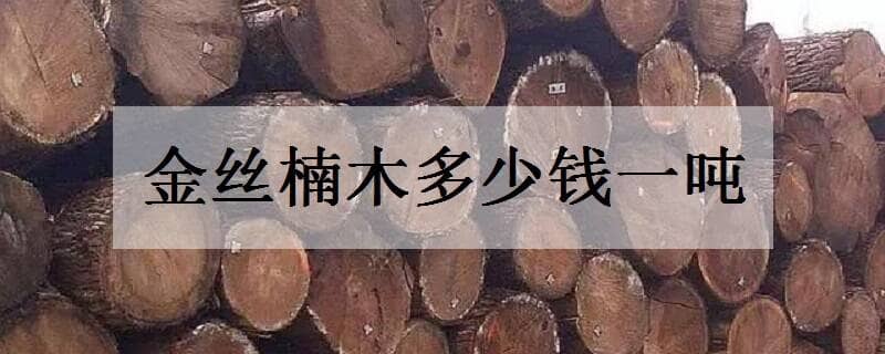 ˿ľǮһ