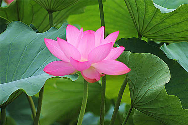 ֻ�����쿪������Щ��