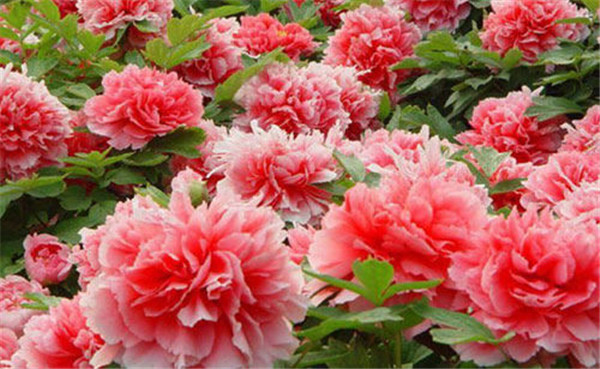 ֻ�����쿪������Щ��