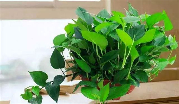 �����ڼ����ò���