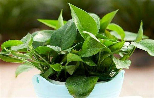 �����ڼ����ò���