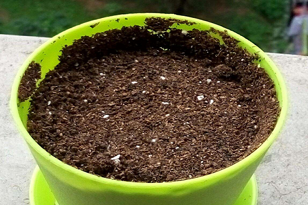 ��ôΪ��������