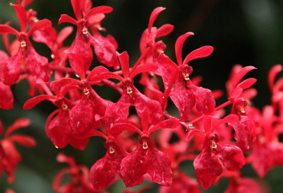 ��������ʲô��Ч������ ʹ��ʱ����Щע������