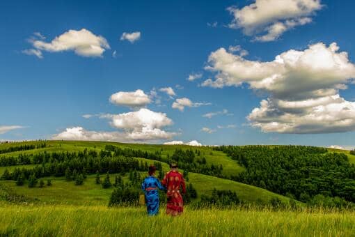 2021���ɹ����ֹ���������������Ϣ