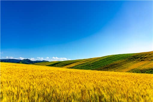 全国休闲农业重点县名单