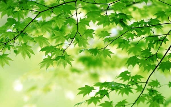 ����������������