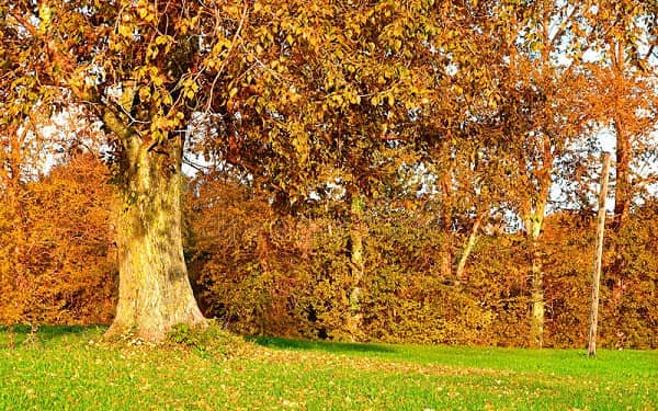 ����������������