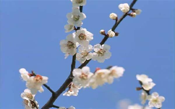 ������ʲô�������� ��Щ�����¶�