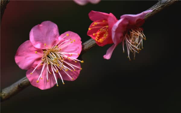 ÷��Ϊʲô������ 