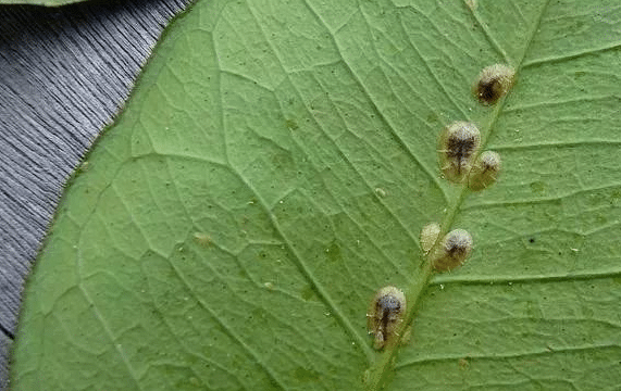 �ǳ���ô���� ����ʱӦ�ò�ȡ��Щ��ʩ