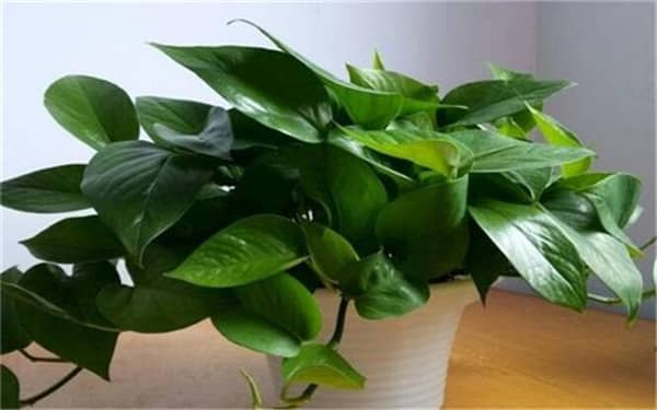 �������ܵ����෽��