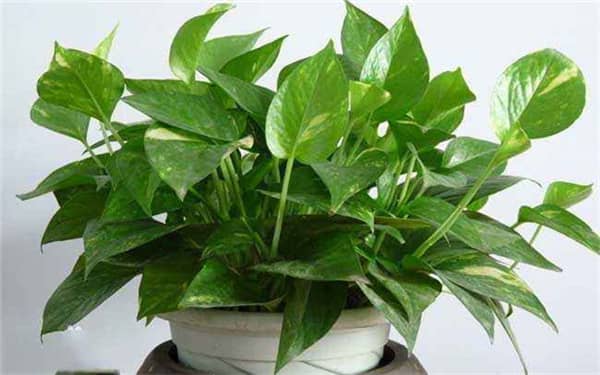 �������ܵ����෽��