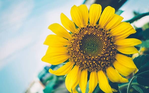 һ�����ݱ���������Щ