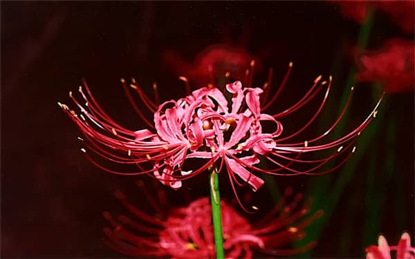 ������������ص���ʲô