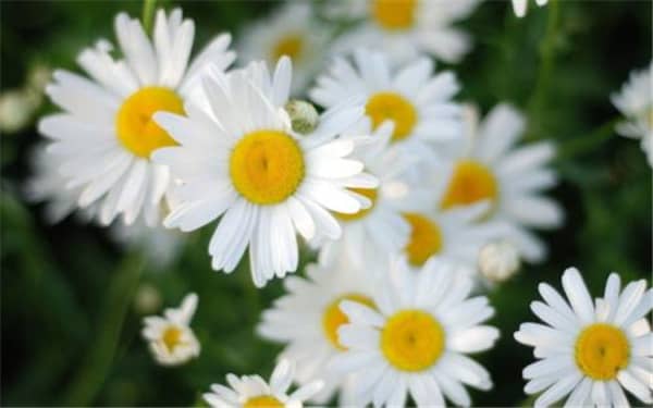 ������������ص���ʲô