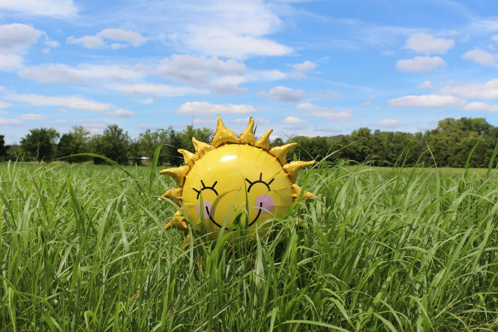 ĵľ˵˵Ȧ