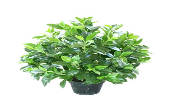 �в���Ҫ��ô��