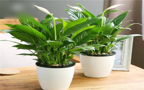 �в���Ҫ��ô��