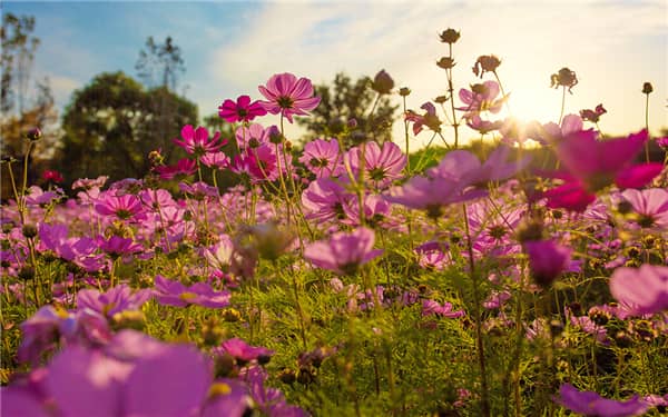 ��������Ļ�����Щ