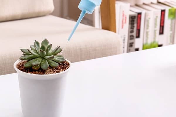 ������������ν�ˮ