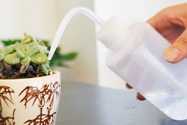 ������������ν�ˮ