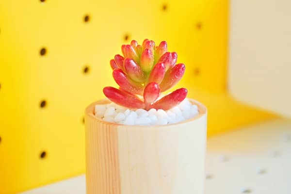 ��֮����ô����