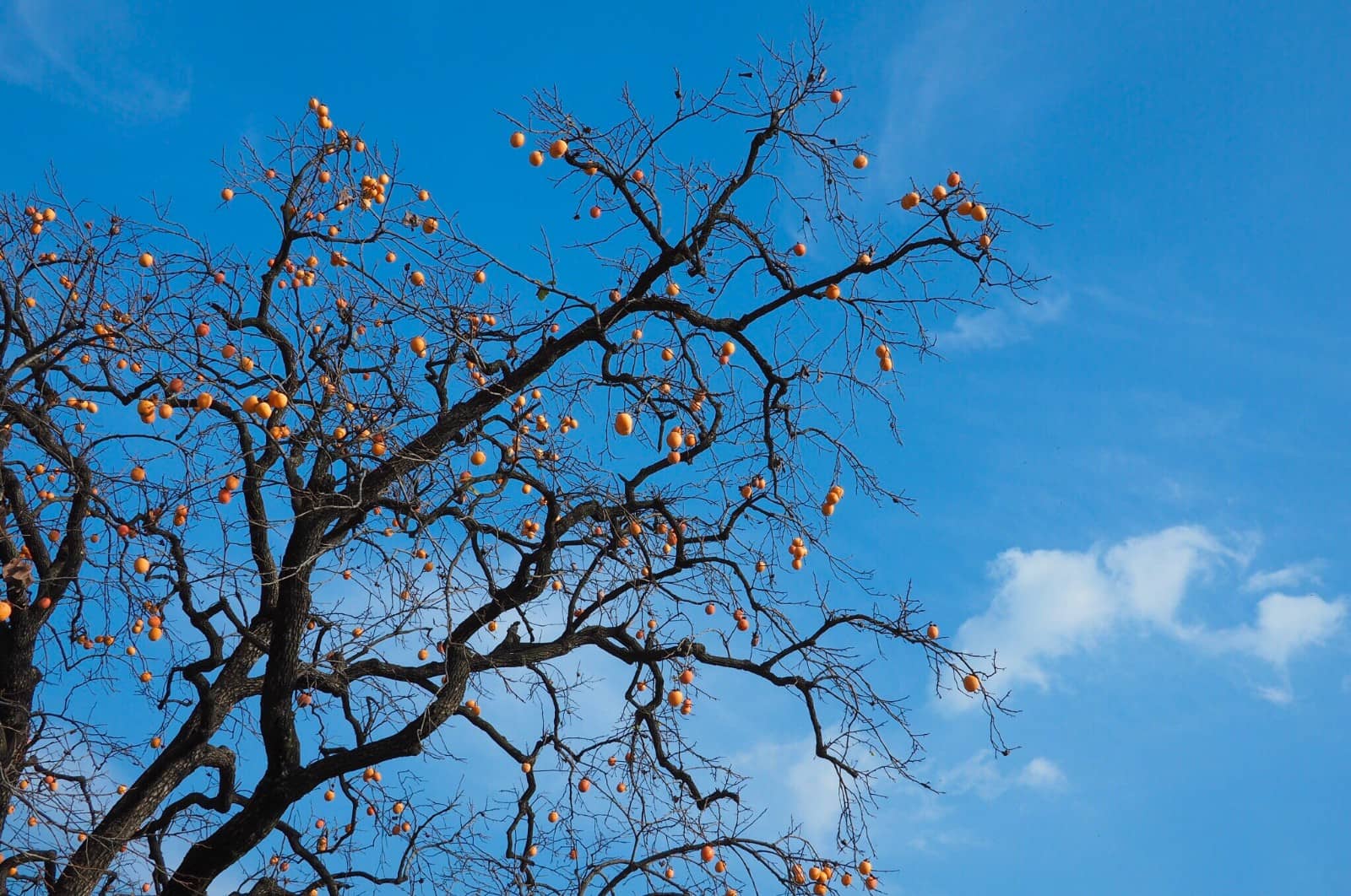 ����ô�����Ҿ���ô�����˵˵