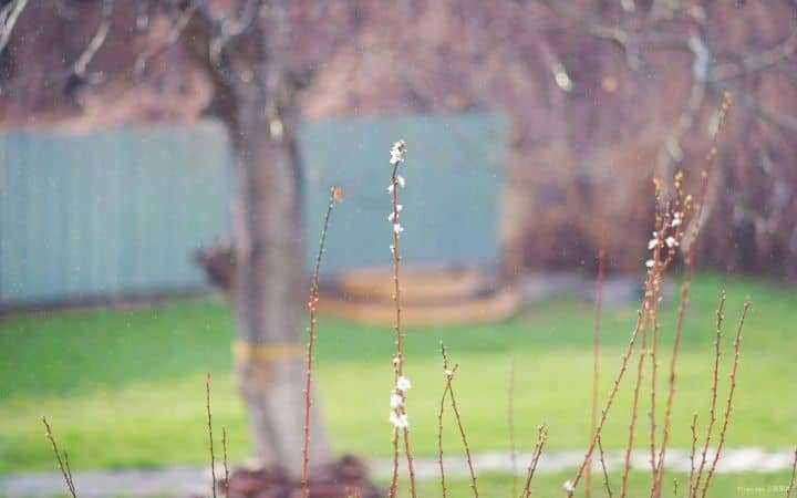 ����ô�����Ҿ���ô�����˵˵