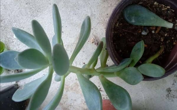 ����ͽ����ô����