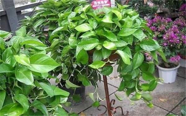 ���ܶ�������Ҫ���ֶ��ٶ�