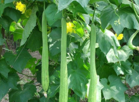 ˿������ʲôʱ���� ע����������Щ