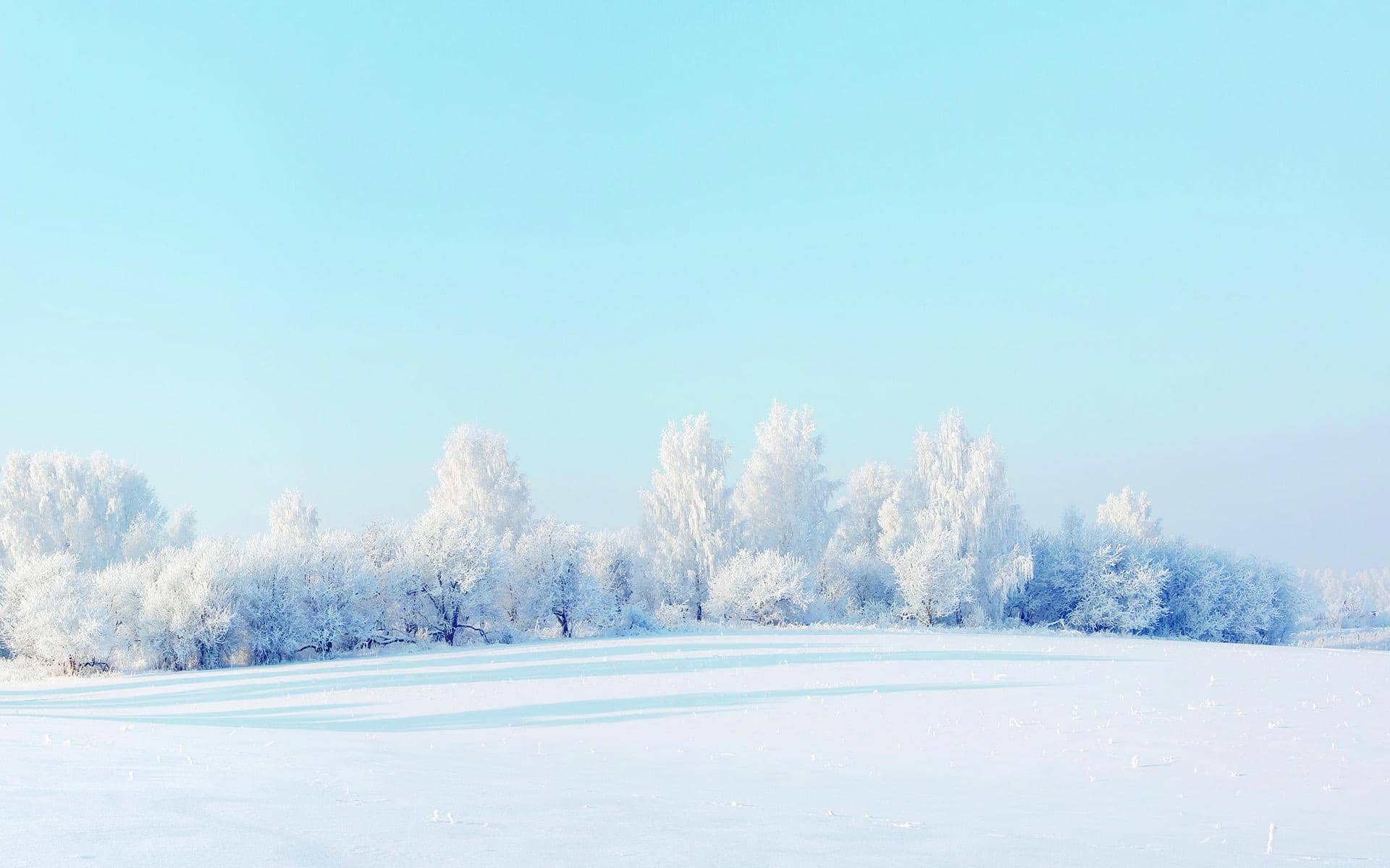 ѩ˵˵˵Ȧ